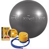 Gofit Professional Grade Core Stability Ball (75cm; Silver) GF-75PRO